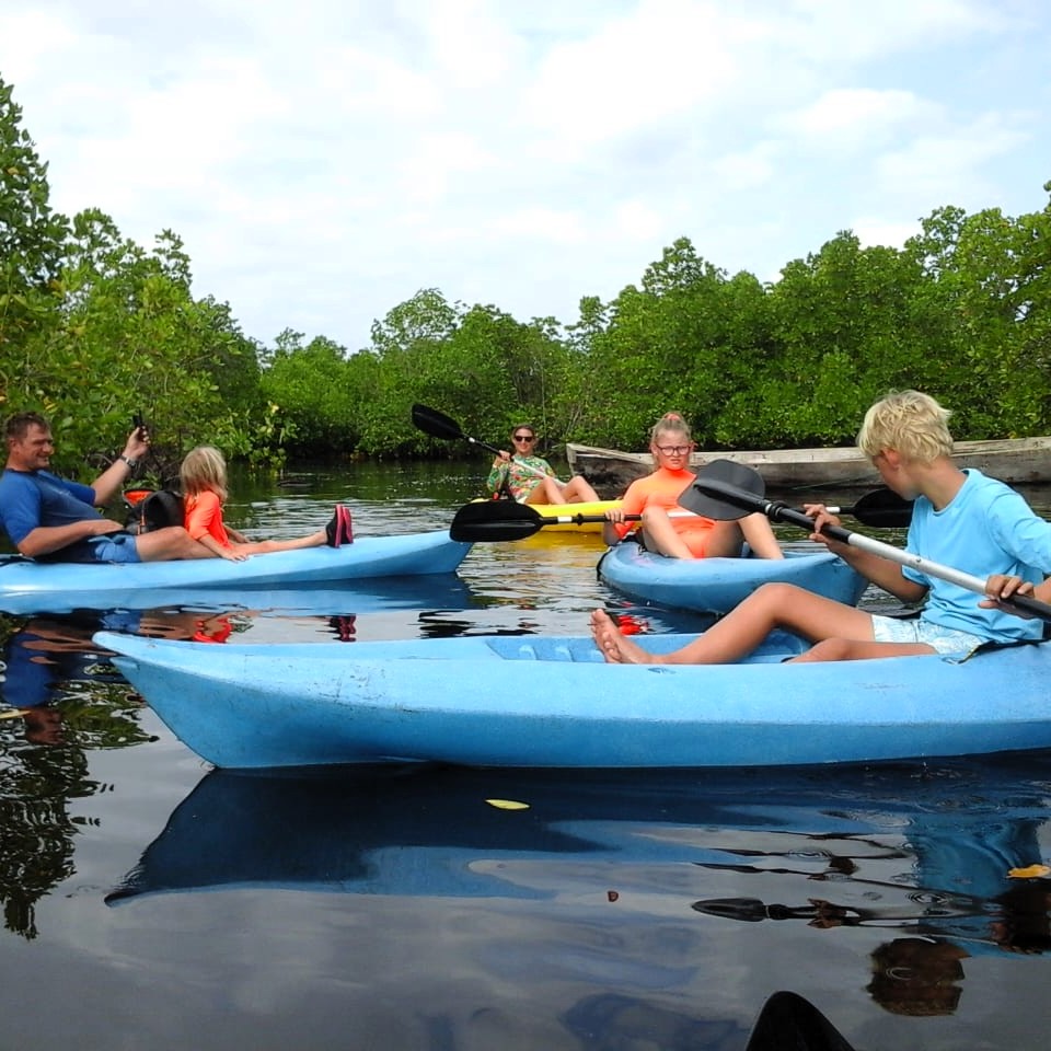 Kayaking through mangrove ecosystem