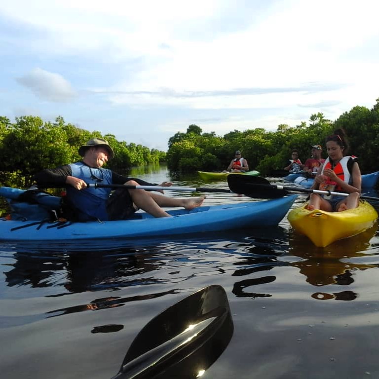 Paddling in mangrove channels