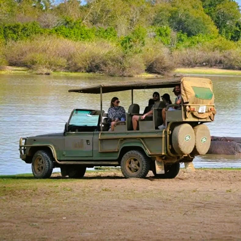 Safari vehicle and elephants in Tarangire National Park