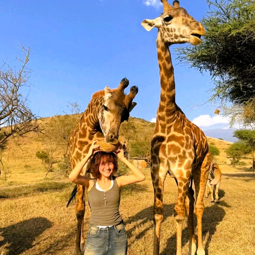 Tarangire safari landscape with baobab trees and elephants